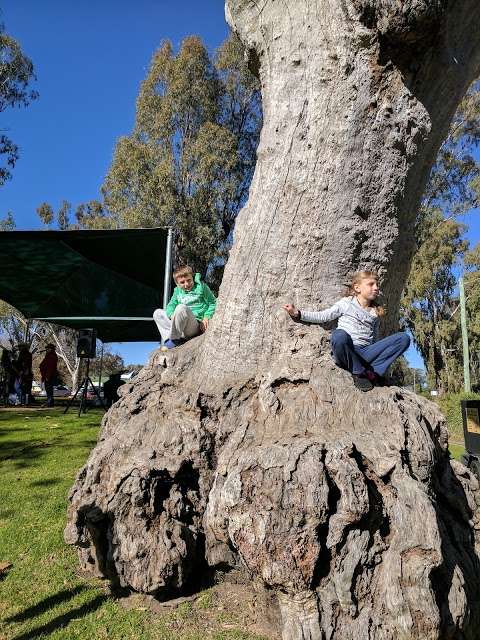 Photo: Bangerang Park