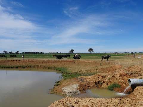 Photo: Pinelee Dairy Farm